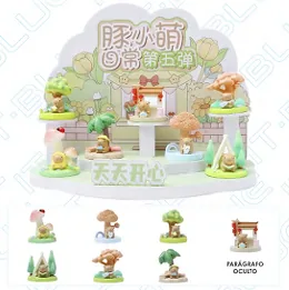 Brinquedo Pacote Misterioso